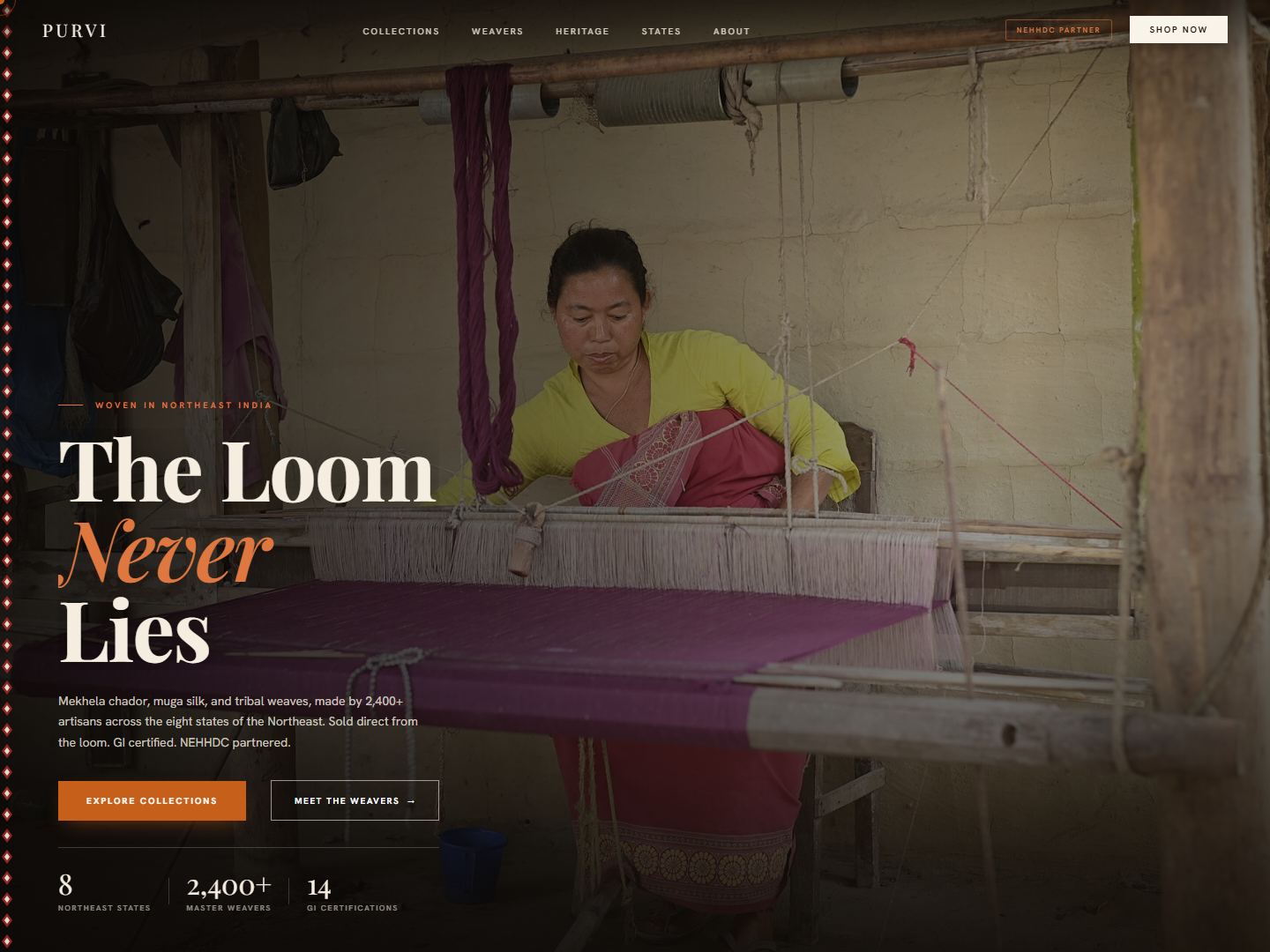 Purvi website homepage preview