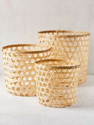 Cane Planter Set of 3